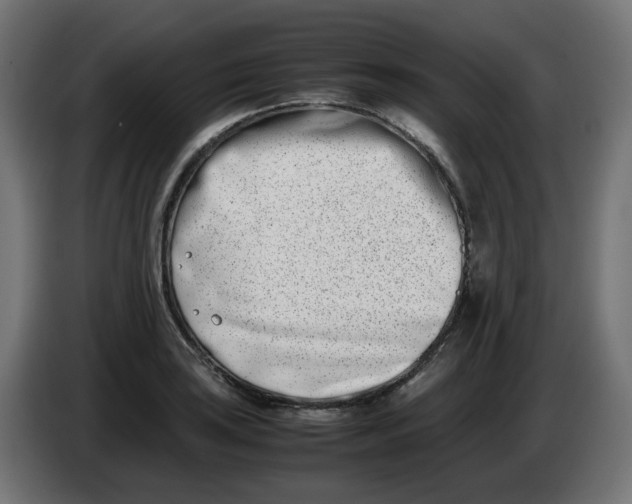 X0000086111035200704132205