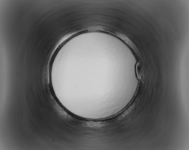 X0000086111036200704132205