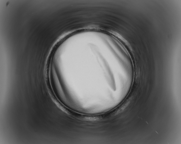 X0000086111037200704132205