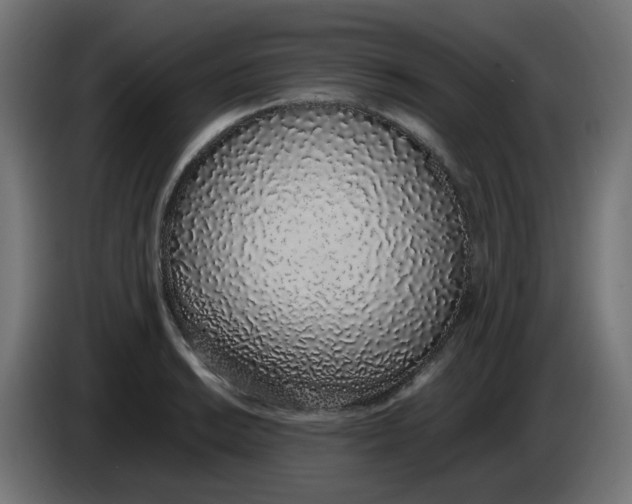 X0000086111038200704132205