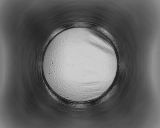 X0000086111041200704132205