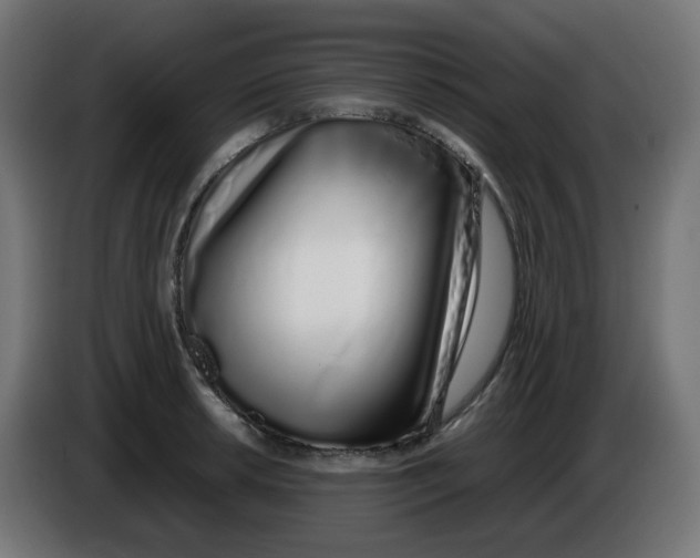 X0000086111042200704132205