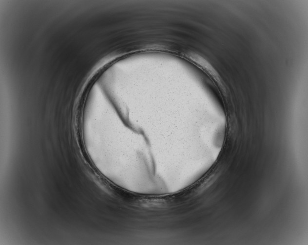 X0000086111043200704132205