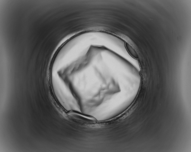 X0000086111044200704132205