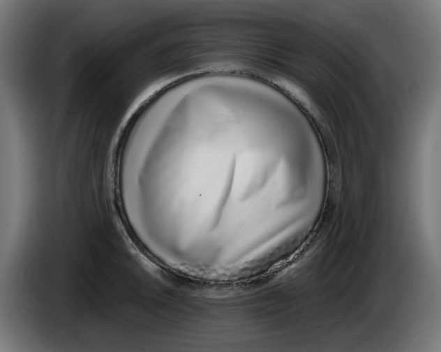 X0000086111046200704132205