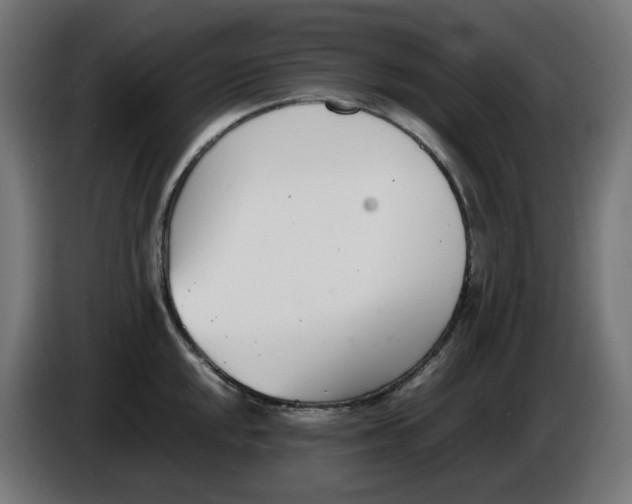 X0000086111048200704132205