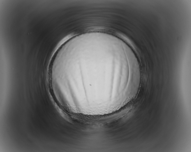 X0000086111050200704132205