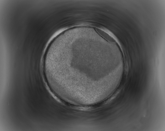 X0000086111053200704132205