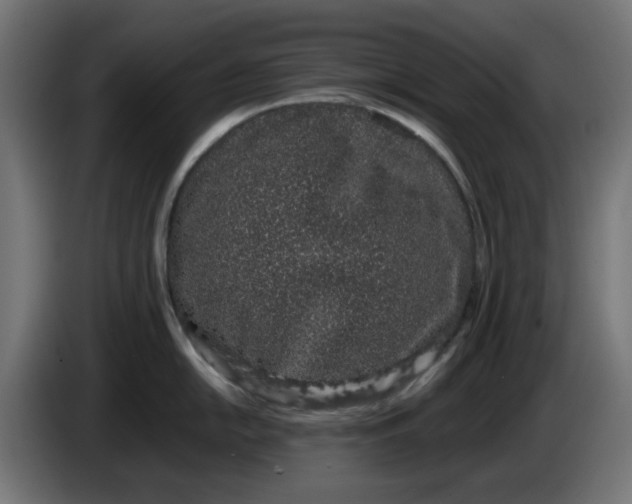 X0000086111054200704132205