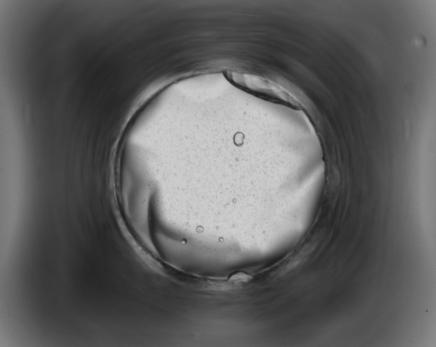 X0000086111055200704132205