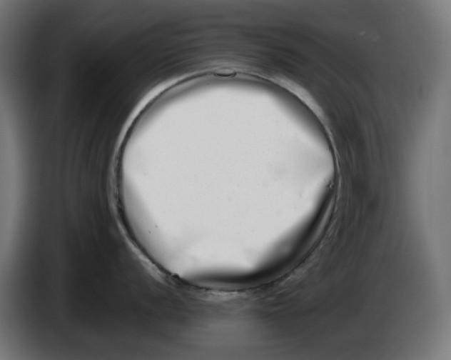 X0000086111056200704132205