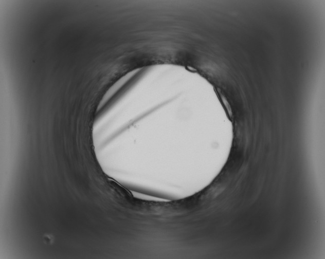 X0000086111057200704132204