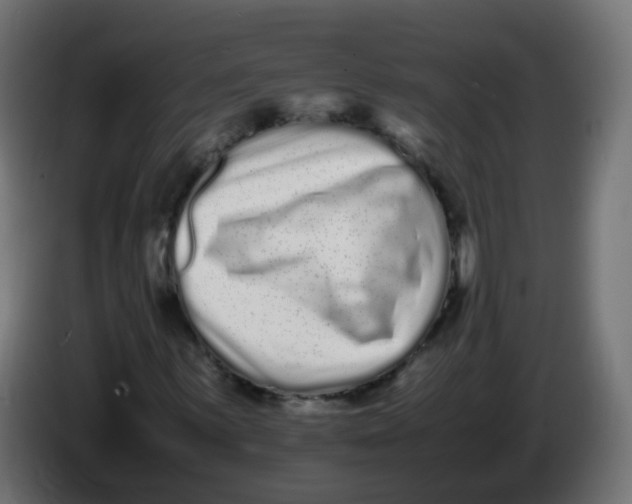 X0000086111059200704132204