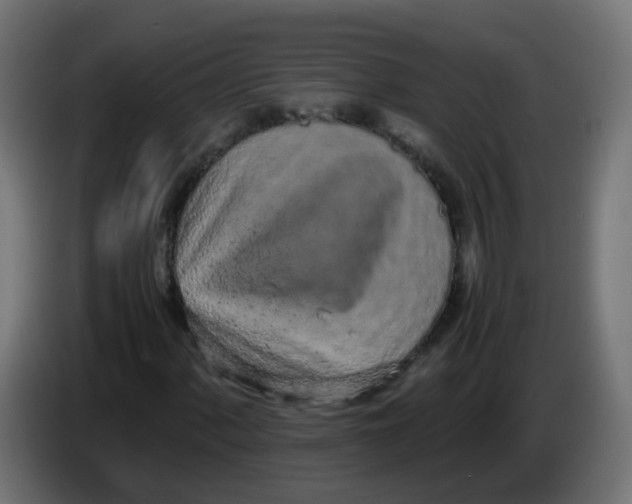 X0000086111060200704132204