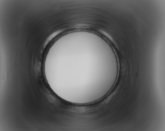 X0000086111066200704132204