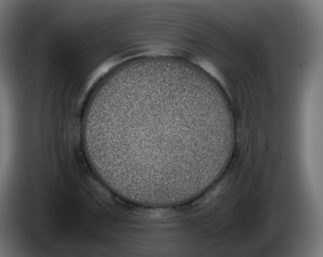 X0000086111067200704132204