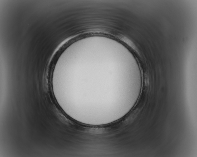 X0000086111068200704132204