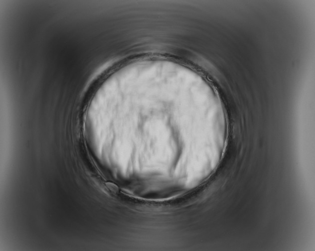 X0000086111069200704132204