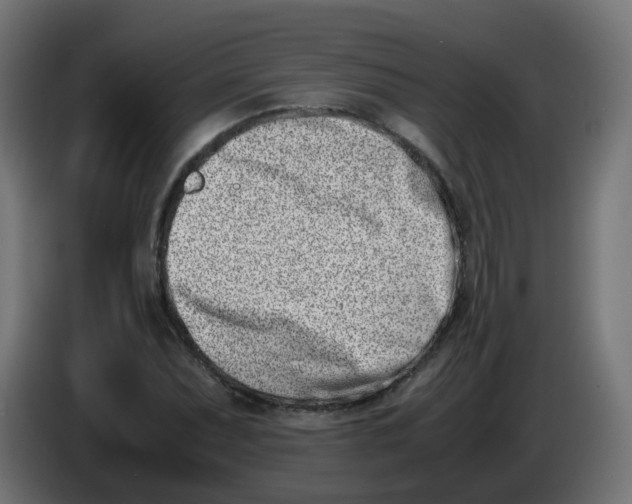 X0000086111071200704132204