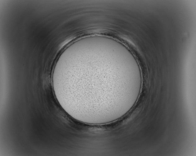 X0000086111073200704132204