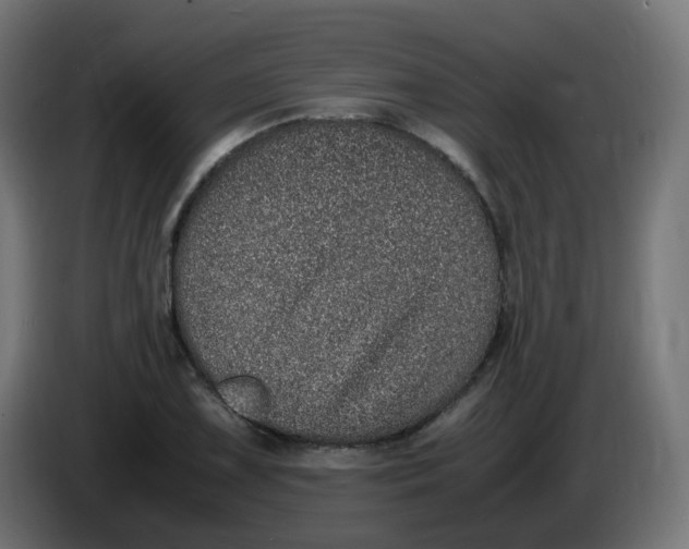 X0000086111075200704132204