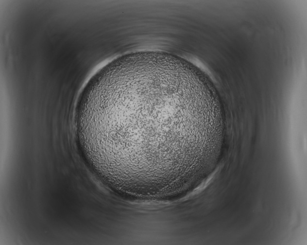 X0000086111077200704132204