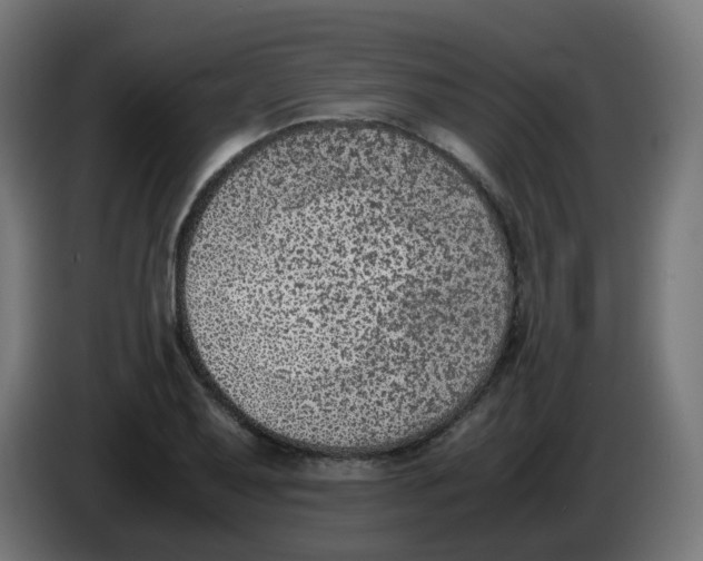 X0000086111079200704132204