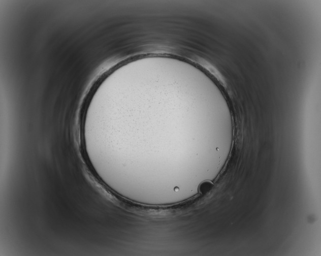 X0000086111080200704132204