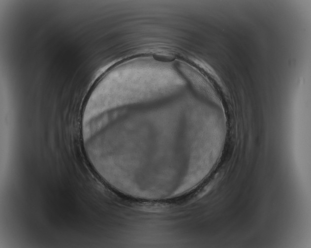 X0000086111081200704132204