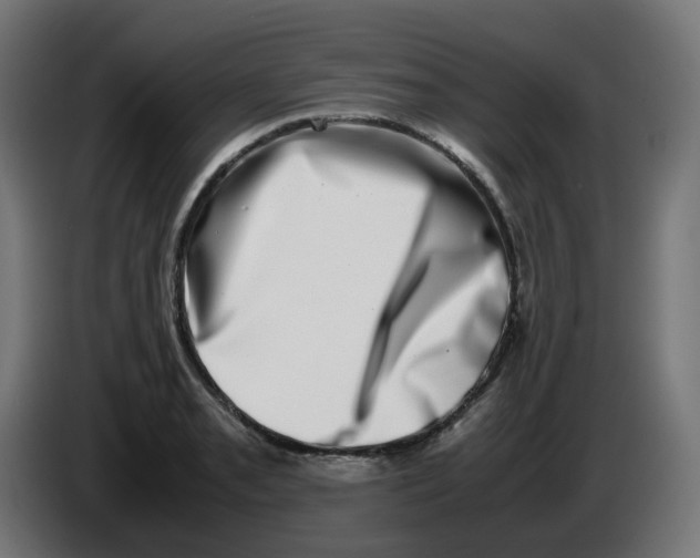 X0000086111085200704132204