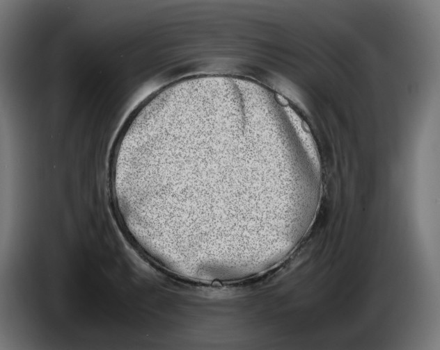 X0000086111087200704132204