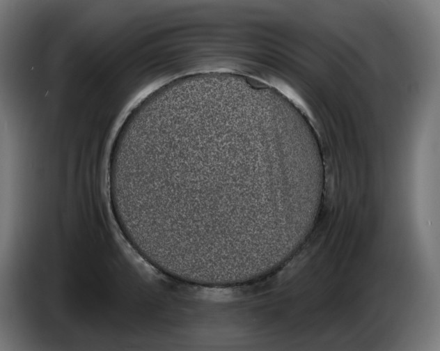 X0000086111088200704132204