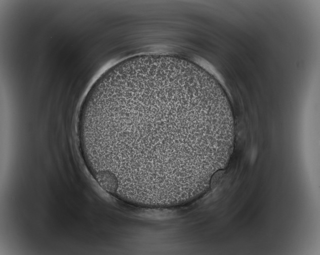 X0000086111091200704132204