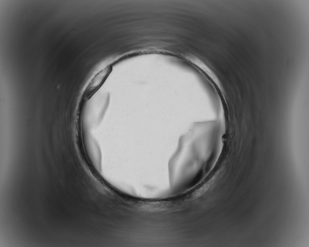 X0000086111093200704132204