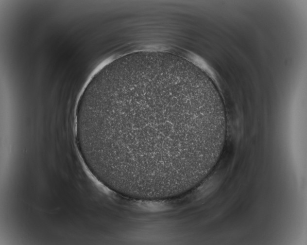 X0000086111095200704132204