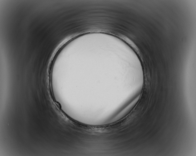 X0000086111096200704132204