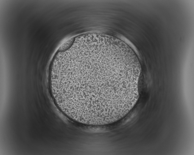 X0000086111099200704132204