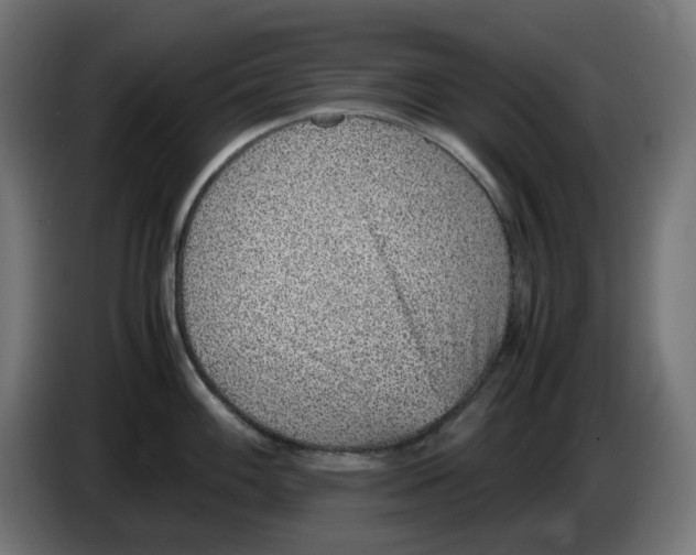 X0000086111100200704132204