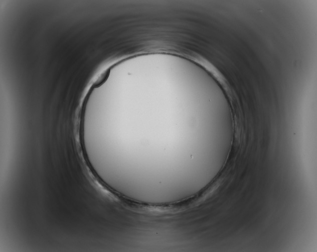 X0000086111102200704132204