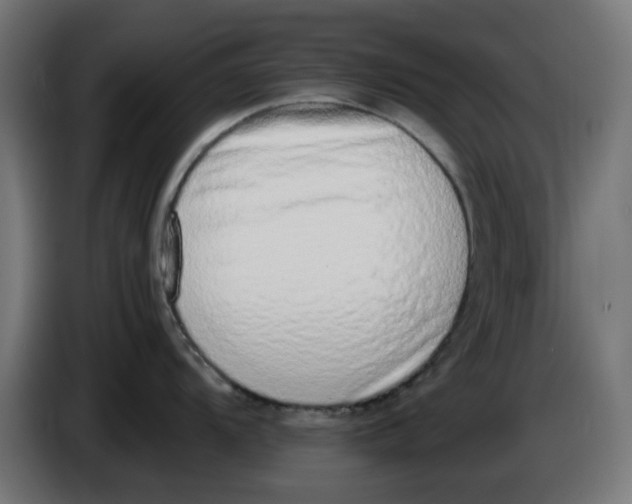 X0000086111104200704132203