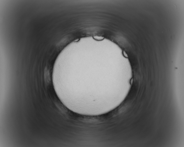 X0000086111106200704132203