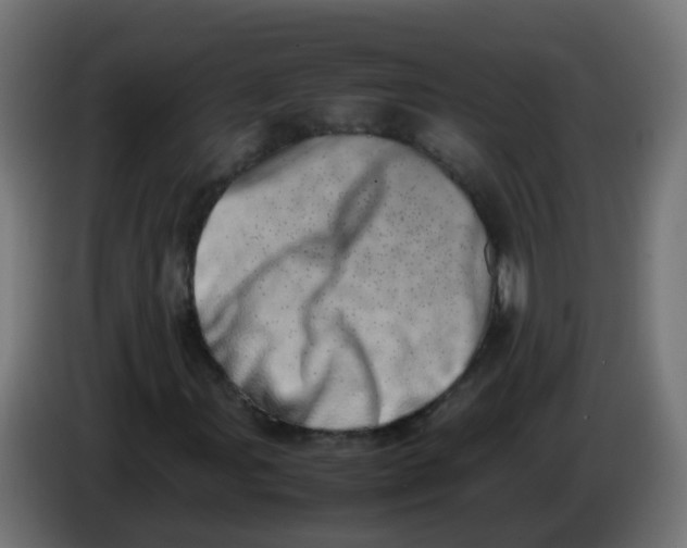 X0000086111107200704132203