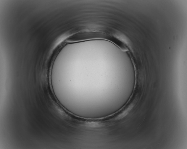 X0000086111114200704132203