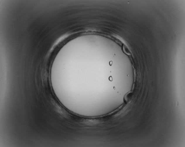 X0000086111115200704132203