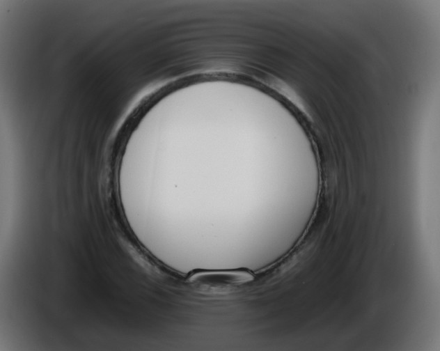 X0000086111116200704132203