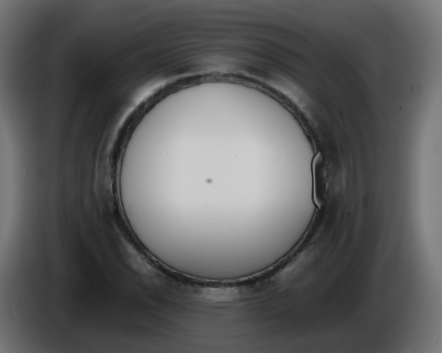 X0000086111118200704132203