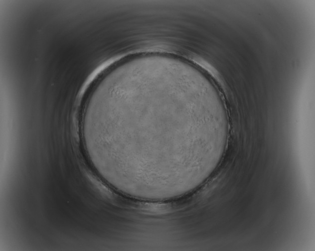 X0000086111120200704132203