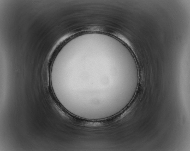 X0000086111123200704132203