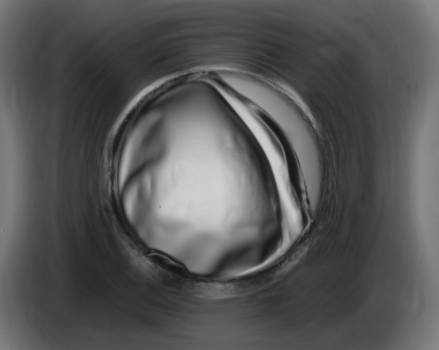 X0000086111124200704132203