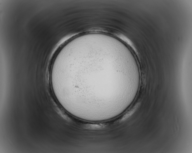 X0000086111125200704132203